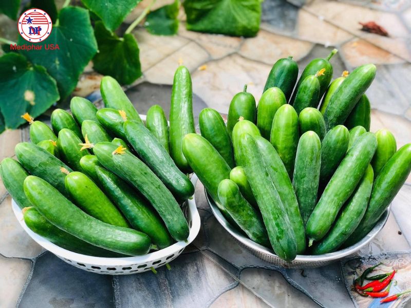 Top 10 loại rau tốt cho đường tiêu hóa chuyên gia khuyên dùng Ăn dưa chuột giúp hỗ trợ tiêu hóa tốt