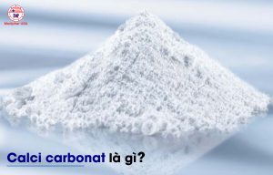 Calci Carbonat