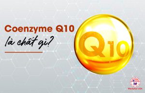 Coenzyme Q10 là chất gì