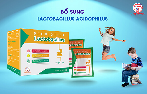 lactobacillus acidophilus là gì 