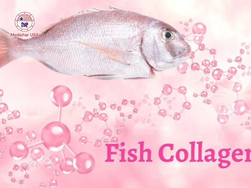 Fish Collagen hay còn gọi là collagen cá