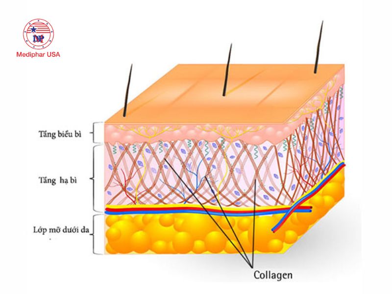 Làn da sẽ được cải thiện đáng kể khi sử dụng collagen