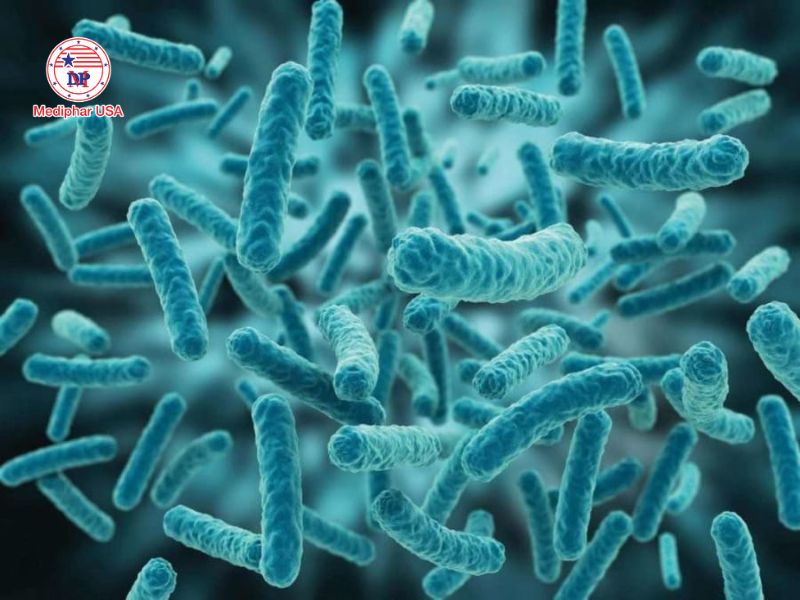 Collagen có khả năng ức chế sự phát triển của vi khuẩn Staphylococcus aureus