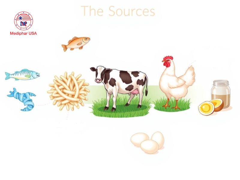 Mỗi loại collagen có những đặc điểm riêng