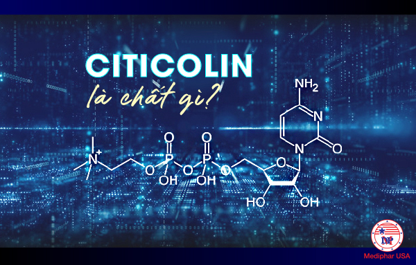 Citicolin là chất gì?