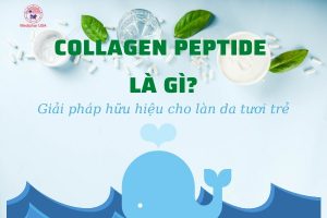 peptide collagen là gì
