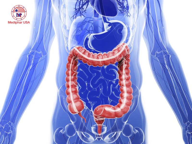 Tiêu hóa là gì? Quá trình tiêu hóa ở người cách cải thiện hiệu quả Nhiều người thắc mắc không biết hệ tiêu hóa là gì?