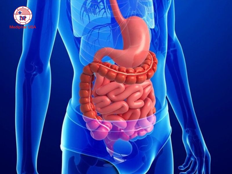 Tiêu hóa là gì? Quá trình tiêu hóa ở người cách cải thiện hiệu quả Thức ăn di chuyển qua hệ tiêu hóa theo nguyên lý nhu động