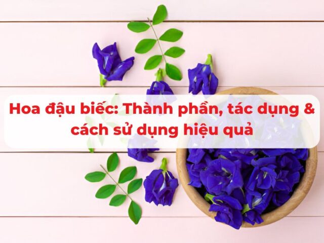 Hoa đậu biếc: Thành phần, tác dụng và cách sử dụng hiệu quả