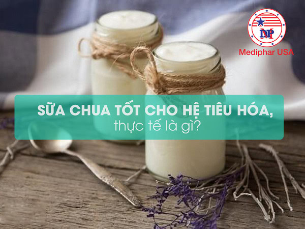 sữa chua tốt cho hệ tiêu hóa