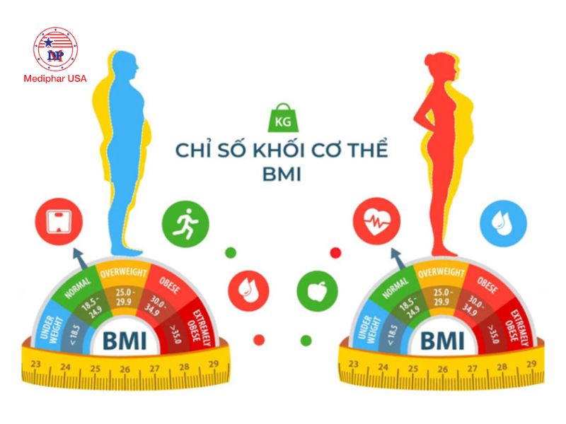 Chỉ số BMI là gì? Cách tính và ý nghĩa với sức khỏe Nữ giới thường có tỷ lệ mỡ cơ thể cao hơn nam giới