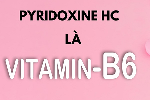 Pyridoxine HC vitamin b6 là gì