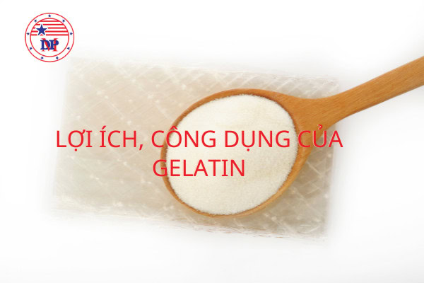 gelatin là gì