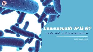 immunepath-ip là gì