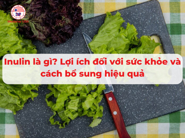 Inulin là gì? Lợi ích đối với sức khỏe và cách bổ sung hiệu quả