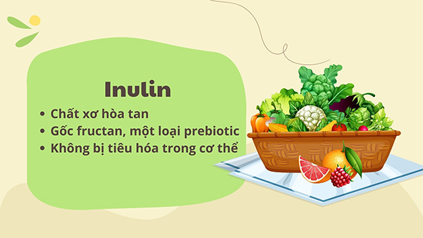 Chất xơ inulin là gì