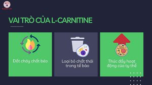 công dụng của l carnitine