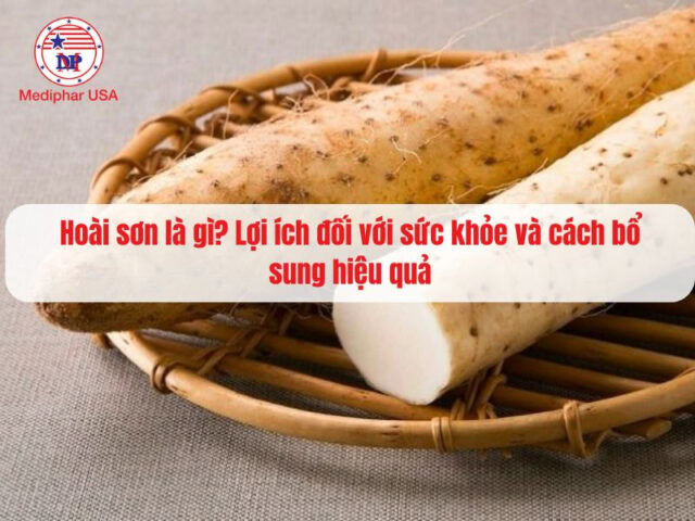 Hoài Sơn là gì? Lợi ích đối với sức khỏe và cách bổ sung hiệu quả