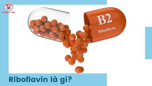 riboflavin là gì