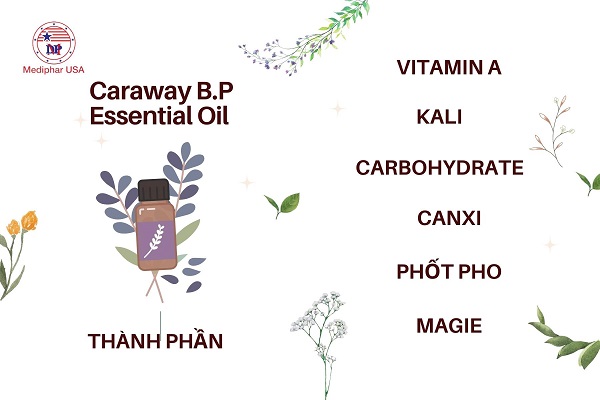 Tinh dầu caraway b.p là gì
