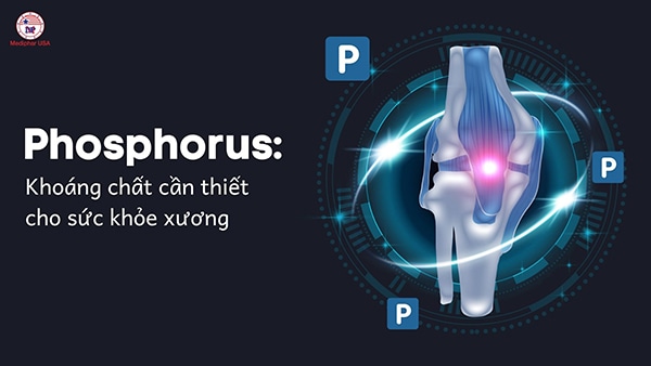 phosphorus là gì