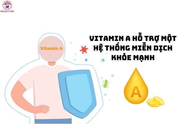 bổ sung vitamin A phải làm sao
