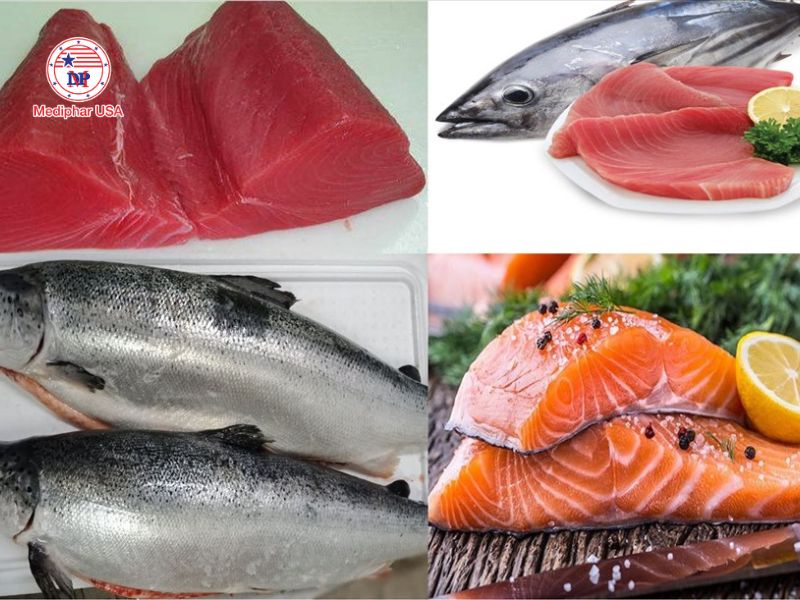 Vitamin A có tác dụng gì? Hướng dẫn cách bổ sung an toàn, hiệu quả Cá béo mang lại nhiều lợi ích cho sức khỏe