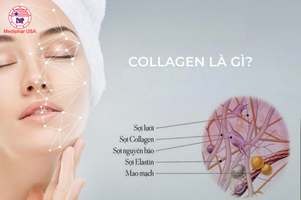 tác dụng của collagen đối với phụ nữ