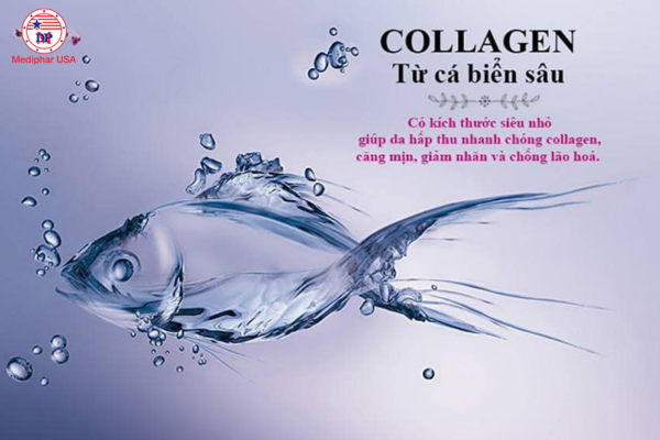 collagen chiết xuất từ da cá