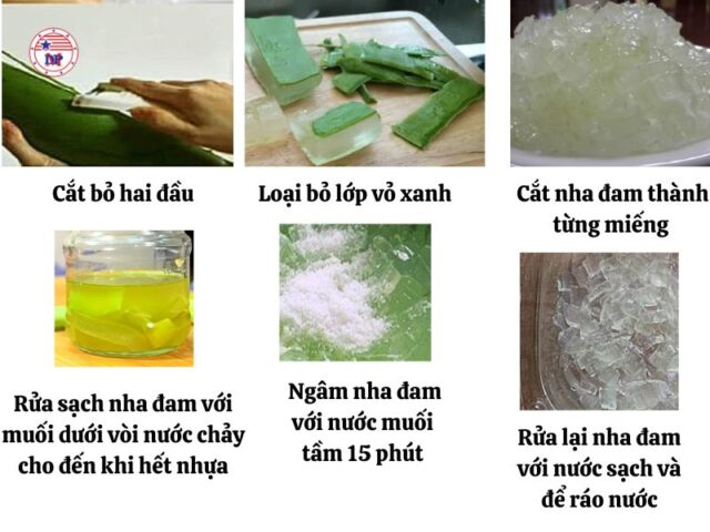 Cách sơ chế nha đam trước khi sử dụng lên mặt 