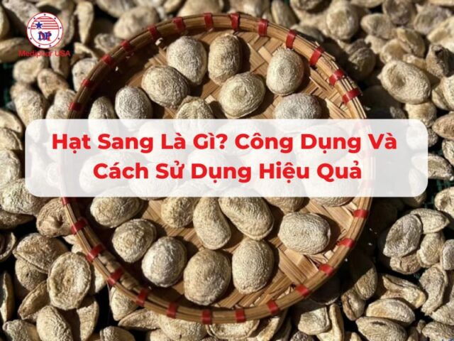 Hạt sang là gì? Công dụng và cách sử dụng hiệu quả