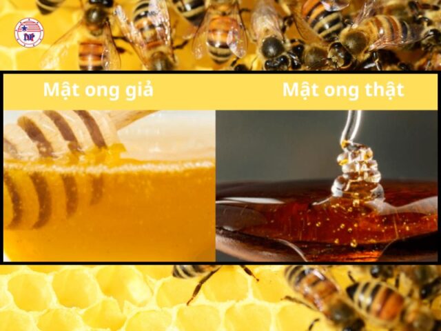 Phân biệt mật ong giả và mật ong thật