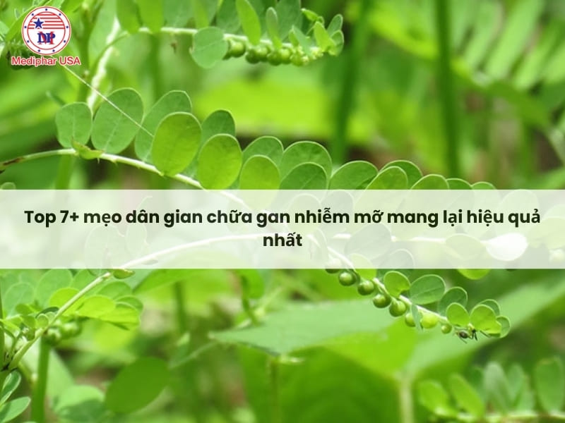 Top 7+ mẹo dân gian chữa gan nhiễm mỡ mang lại hiệu quả nhất