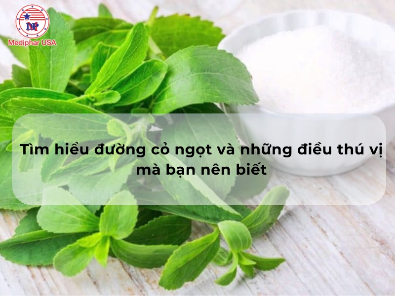 Tìm hiểu đường cỏ ngọt và những điều thú vị mà bạn nên biết