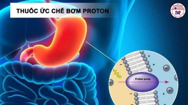 Thuốc ức chế bơm proton (PPI)