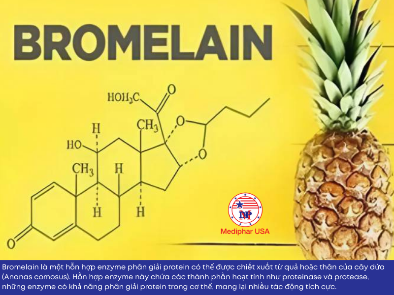 Bromelain Enzyme là gì? 8 lợi ích với sức khỏe và cách bổ sung Bromelain là enzyme được chiết xuất từ quả dứa (thơm)