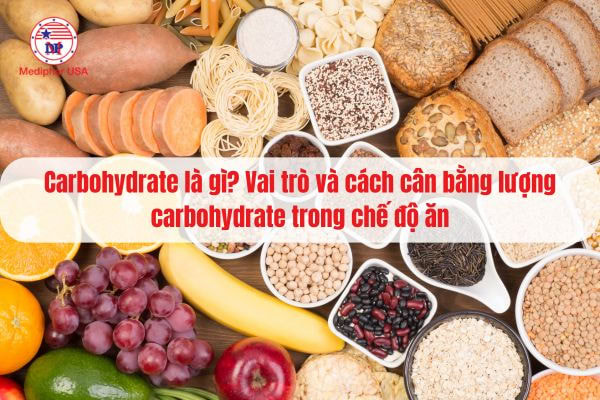 Carbohydrate là gì? Chức năng, vai trò và cách cân bằng trong chế độ ăn Carbohydrate là gì? Chức năng, vai trò và cách cân bằng trong chế độ ăn