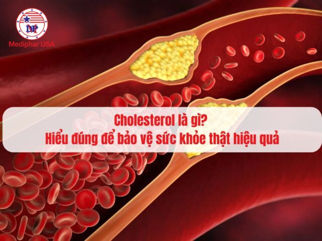 Cholesterol là gì? Vai trò, phân loại, và những yếu tố gây tăng cholesterol Cholesterol là gì? Vai trò, phân loại, và những yếu tố gây tăng cholesterol