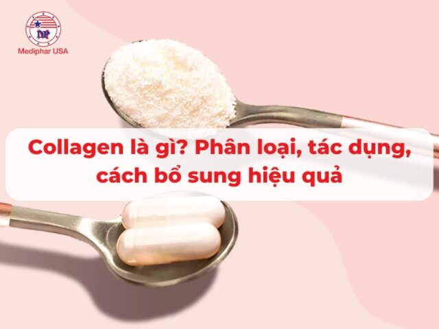 Collagen là gì? Phân loại, tác dụng, cách bổ sung hiệu quả Collagen là gì? Phân loại, tác dụng, cách bổ sung hiệu quả
