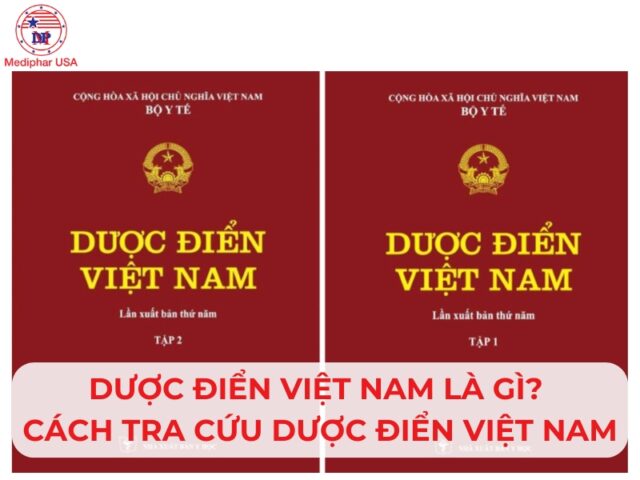 Dược Điển Việt Nam là gì? Cách tra cứu Dược Điển Việt Nam