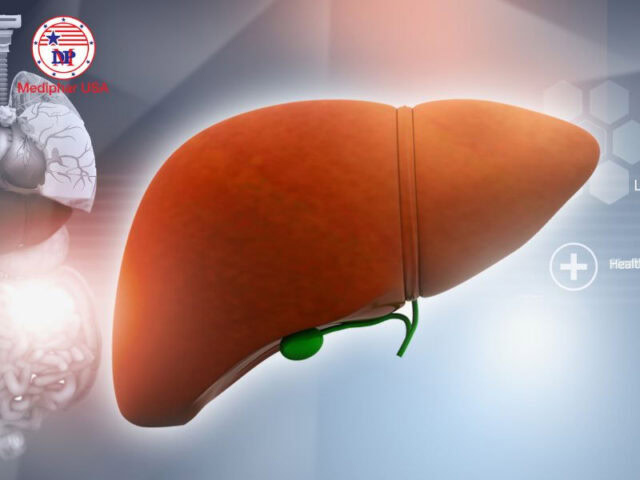 Gan (liver) là gì? Vị trí, cấu tạo, chức năng và cách giữ lá gan khỏe mạnh