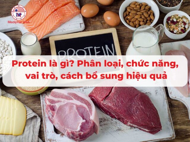 Protein là gì? Phân loại, chức năng, vai trò, cách bổ sung hiệu quả Protein là gì? Phân loại, chức năng, vai trò, cách bổ sung hiệu quả