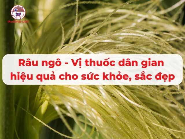 Râu ngô: Vị thuốc dân gian hiệu quả cho sức khỏe, sắc đẹp
