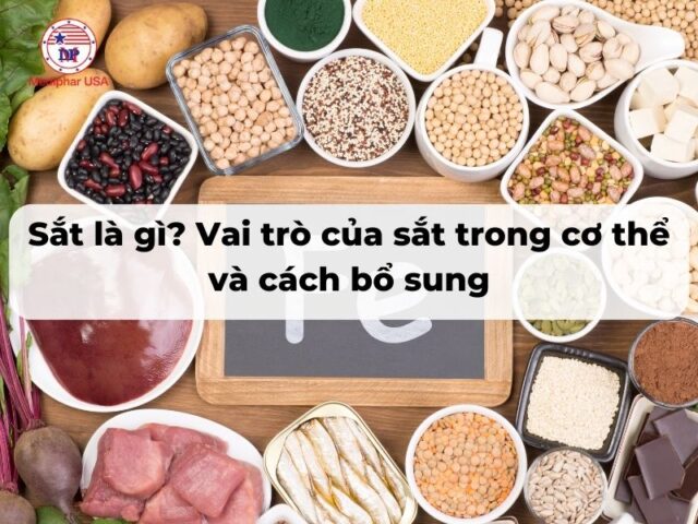 Sắt là gì? Vai trò của sắt trong cơ thể và cách bổ sung Sắt là gì? Vai trò của sắt trong cơ thể và cách bổ sung