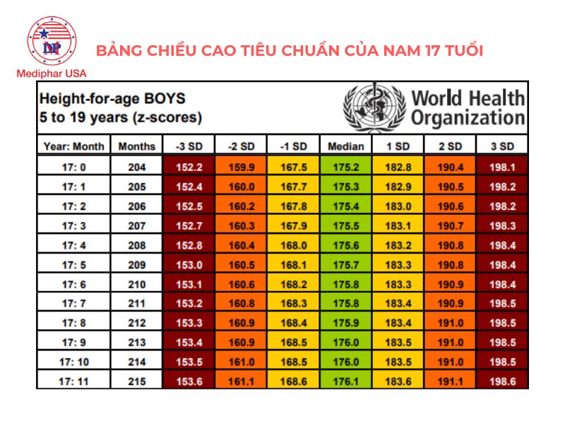 17 tuổi còn cao được bao nhiêu cm? Hướng dẫn cách tăng chiều cao ở tuổi 17 Chiều cao tiêu chuẩn của nam 17 tuổi