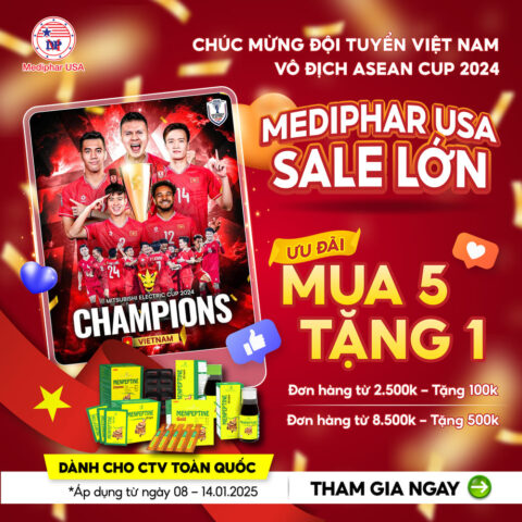 CHƯƠNG TRÌNH BÁN HÀNG HƯỞNG ỨNG VIỆT NAM VÔ ĐỊCH AFF CUP 2024