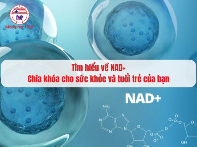 NAD+ là gì? Tìm hiểu tác dụng của NAD+ đối với sức khỏe