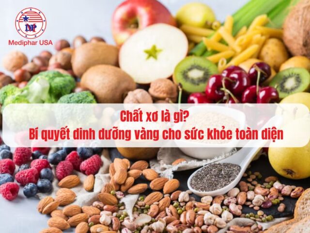 Chất xơ là gì? Phân loại, vai trò, liều lượng và nguồn thực phẩm bổ sung Chất xơ là gì? Bí quyết dinh dưỡng vàng cho sức khỏe toàn diện