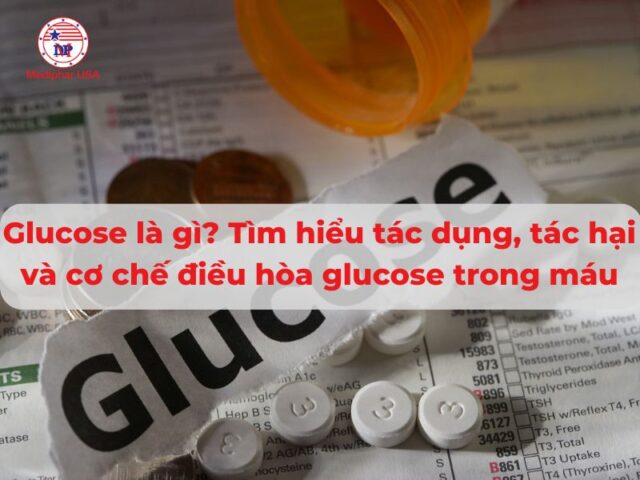 Glucose là gì? Tìm hiểu tác dụng, tác hại và cơ chế điều hòa glucose trong cơ máu Glucose là gì? Tìm hiểu tác dụng, tác hại và cơ chế điều hòa glucose trong cơ máu