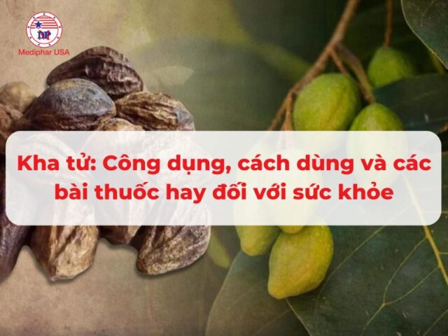 Kha tử: Công dụng, cách dùng và các bài thuốc hay đối với sức khỏe